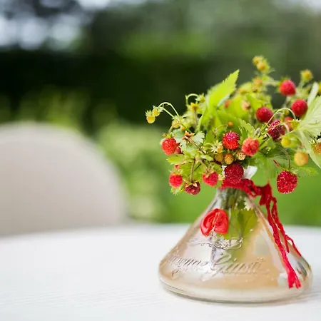 Apartments Villa Majda Apartman *