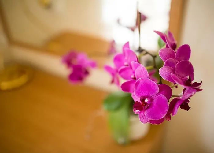 Majda Апартаменты